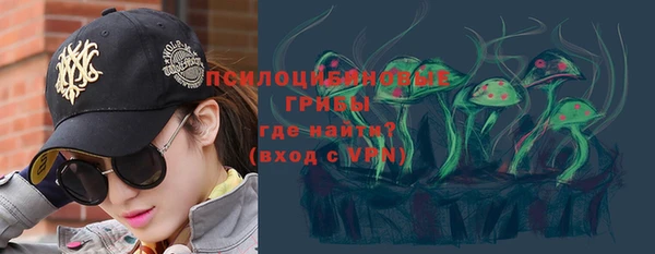 прущие грибы Лихославль