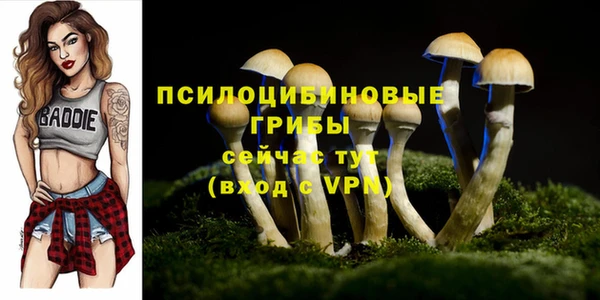 героин Липки