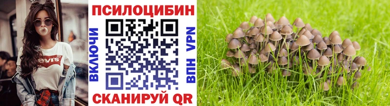 Галлюциногенные грибы Psilocybine cubensis Купить закладки Соликамск