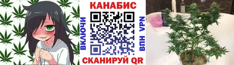 Конопля OG Kush  Купить где  Соликамск 